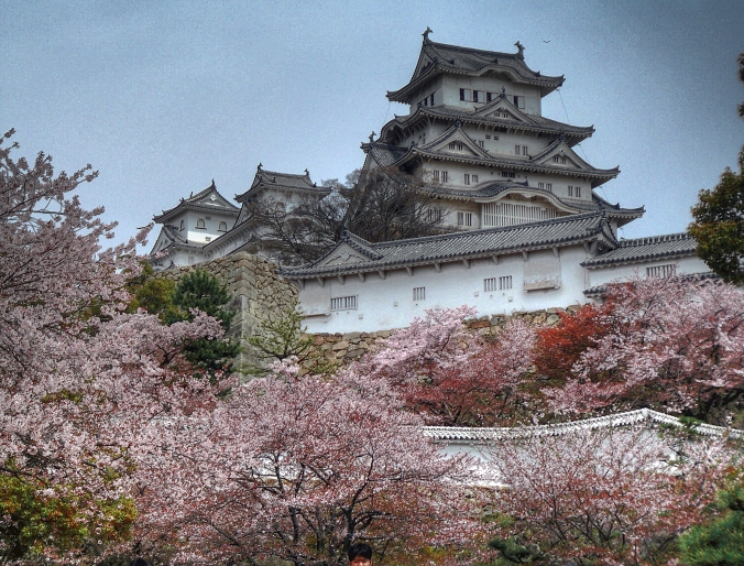 Château de Himeji et cerisiers. ©Ewan Cross